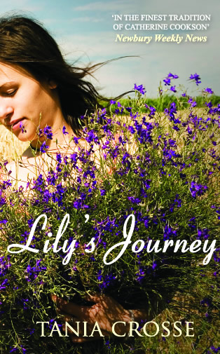 Lily's Journey Book Cover Paperback