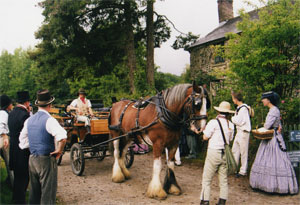 Horse and Cart at Morwellham
